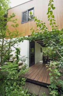 Mola Mola Surf Popoyo - 2