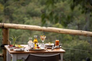 Tshwene Lodge - Reserva de Welgevonden - 5