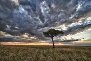 Luxury and exclusivity in your own thatched lodge in Namibia - Gobabis - 7