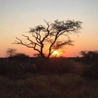 Luxury and exclusivity in your own thatched lodge in Namibia - Gobabis - 6
