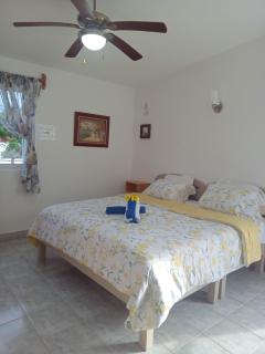 Estudio Coatí Azul en la Isla de Cozumel en el Caribe - Cozumel - 0