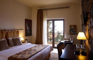 Domotel Neve Mountain Resort - Palaios Agios Athanasios - 5
