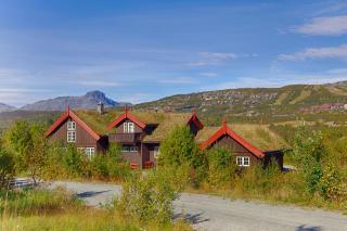 Grand Log Cabin with Fireplace and 12-14 Beds - Beitostøl - 0