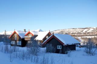 Grand Log Cabin with Fireplace and 12-14 Beds - Beitostøl - 9