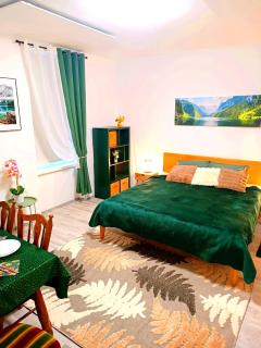Family Apartments 2 room's centre Mürzzuschlag - Mürzzuschlag - 8