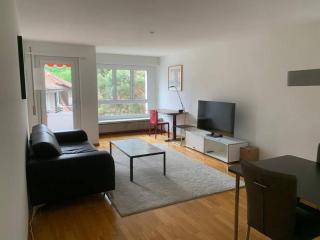 Fantastic 1BR flat in the city center - Marble 1 - Zurigo - 8