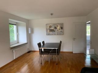 Fantastic 1BR flat in the city center - Marble 1 - Zurigo - 2