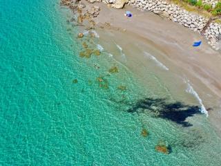 Beachfront Villa Rania with private pool by DadoVillas - Chalikounas - 6