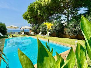 Beachfront Villa Rania with private pool by DadoVillas - Chalikounas - 4