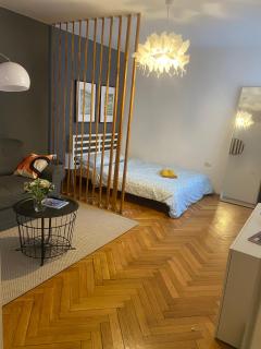 Art & Design Apt - City Center - Timişoara - 0