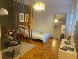 Art & Design Apt - City Center - Timişoara - 9