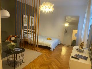 Art & Design Apt - City Center - Timişoara - 8