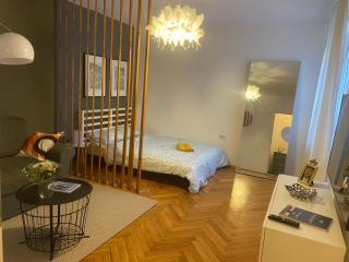 Art & Design Apt - City Center - Timişoara - 7
