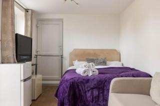 Kingston & Richmond Lux Brand new studio - - 0