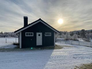 Tørresvangen - Tynset - 0