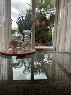 Villa GiNa Apartement - Albbruck - 0