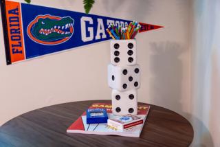 4bd Gator Grove Villa - Backyard - Games - Near UF - Gainesville - 6