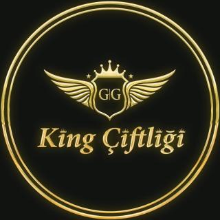 King Pansiyon - - 0