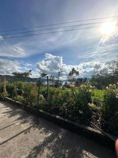 Vista al Lago, Cabaña Privada - Pasto - 3