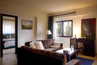 Domotel Neve Mountain Resort - Palaios Agios Athanasios - 4