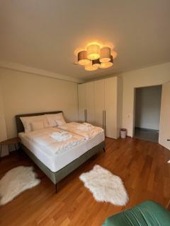 Villa GiNa Apartement - Albbruck - 2
