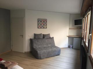 Grande Chambre Climatisée 1 à 4 couchages - Wasselonne - 7