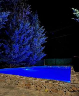 Villa Dalmatina with pool - Kumanovo - 2