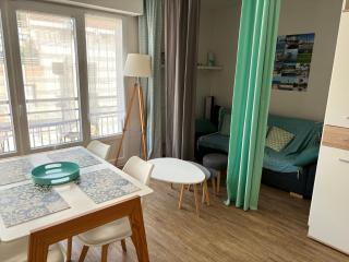T1Bis centre d'Arcachon avec balcon - Arcachon - 8