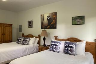 Wasser Lodge #204 - Raccon Room - New Braunfels - 0