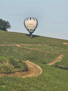 Le Saint Vincent - Chablis - 0