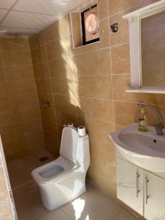 Wadi Rum Tours Camp - Wadi Rum - 3