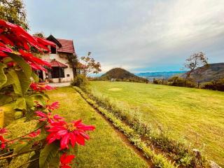 Stumpfields - Ooty - 6