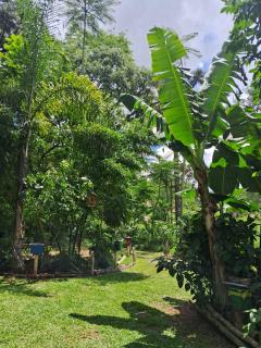 EcoPousada - Sitio Aborigene - São Lourenço do Oeste - 7