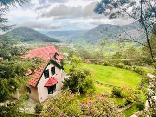 Stumpfields - Ooty - 0
