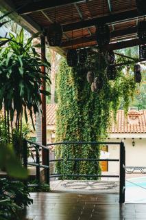 Hotel Posada Virreyes - Guadalajara - 7