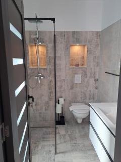 Green Studio - Sinaia - 1