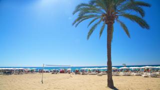 HB Apartments - Luxury Apartament Boutique Mercado Rambla Centro Postiguet - Alicante - 9