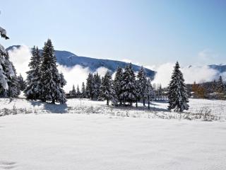 Studio cabine à Chamrousse avec balcon, pour 4 pers, cuisine équipée - FR-1-340-284 - Chamrousse - 7