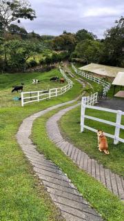 Finca San Cipriano - Filandia - Filandia - 7