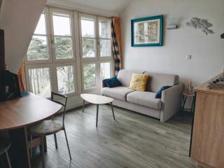 L'envol du Goéland - 5