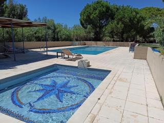 Maisonnette dans mas authentique avec piscine - Saint-Laurent-dʼAigouze - 2
