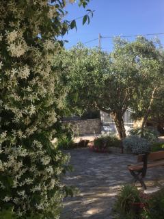 Le Clos du Jas - Marseille - 8
