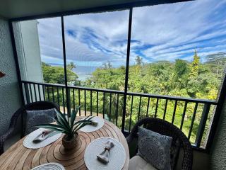 Direct Oceanfront Mauna Loa Shores Honu Elua #508 next to Carlsmith Beach park, Hilo HI - Hilo - 6