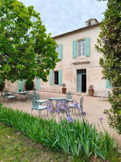 La Folie mas provençal climatisé avec piscine - Arles - 7