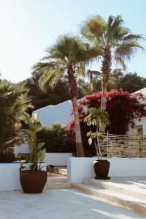 Pure House Ibiza - Ibiza città - 9
