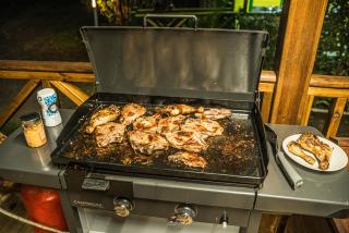Au cœur du papillon piscine collective en famille - 3