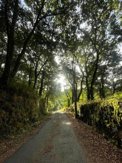 Casa Redonda - Ourense - 6