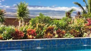 ISLAND SEABATICAL Restful 3BR Ainamalu Home with Private Pool - Waikoloa - 5