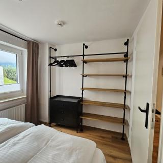 Alpensternchen - 2