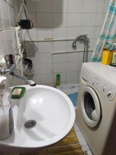 Seosko turisticko domacinstvo Nikolic-Zivkovic selo Ljubatovica - - 4